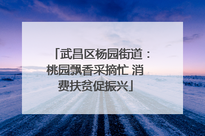武昌区杨园街道：桃园飘香采摘忙 消费扶贫促振兴