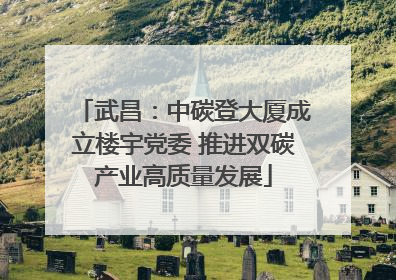 武昌：中碳登大厦成立楼宇党委 推进双碳产业高质量发展