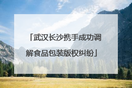 武汉长沙携手成功调解食品包装版权纠纷