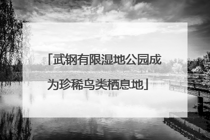 武钢有限湿地公园成为珍稀鸟类栖息地