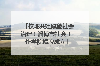 校地共建赋能社会治理！淄博市社会工作学院揭牌成立