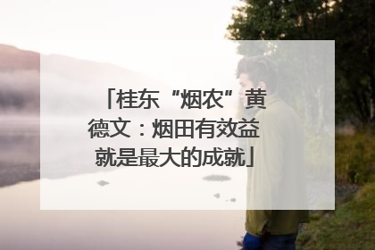 桂东“烟农”黄德文：烟田有效益就是最大的成就