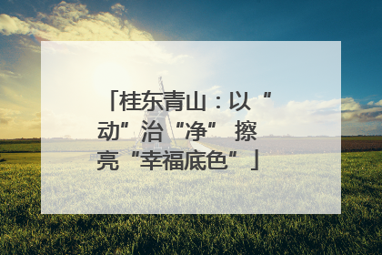 桂东青山：以“动”治“净” 擦亮“幸福底色”