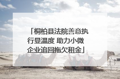 桐柏县法院善意执行显温度 助力小微企业追回拖欠租金