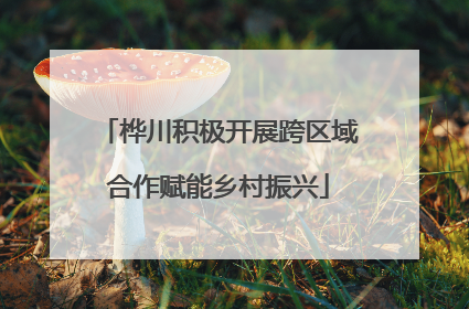 桦川积极开展跨区域合作赋能乡村振兴