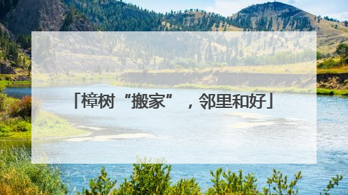樟树“搬家”，邻里和好