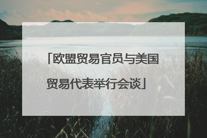 欧盟贸易官员与美国贸易代表举行会谈