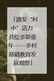 激发“村小”活力 共绘多彩童年——乡村基础教育发展观察