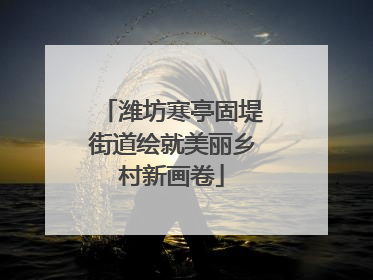 潍坊寒亭固堤街道绘就美丽乡村新画卷