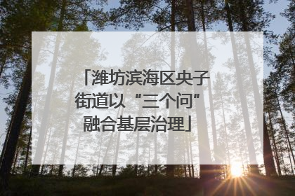 潍坊滨海区央子街道以“三个问”融合基层治理