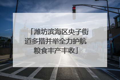 潍坊滨海区央子街道多措并举全力护航粮食丰产丰收