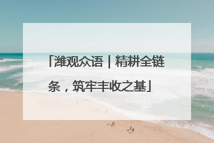 潍观众语｜精耕全链条，筑牢丰收之基