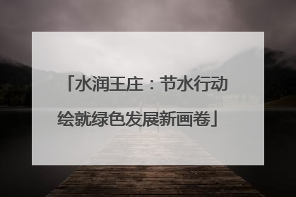 水润王庄：节水行动绘就绿色发展新画卷