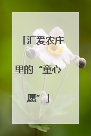 汇爱农庄里的“童心愿”