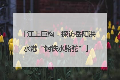 江上巨构：探访岳阳洪水港“钢铁水骆驼”