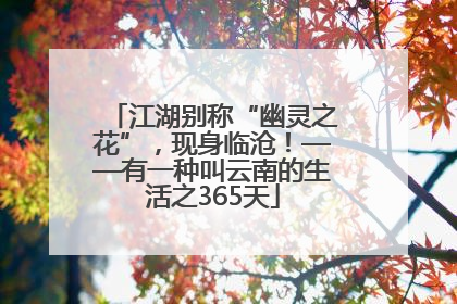 江湖别称“幽灵之花”，现身临沧！——有一种叫云南的生活之365天
