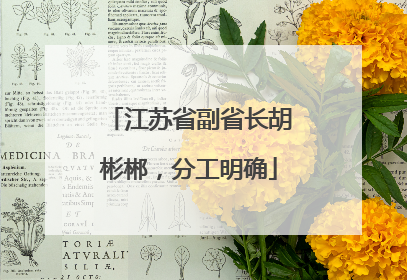 江苏省副省长胡彬郴，分工明确