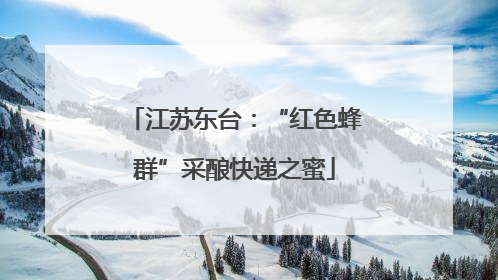 江苏东台：“红色蜂群”采酿快递之蜜