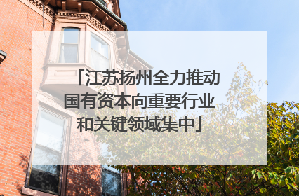 江苏扬州全力推动国有资本向重要行业和关键领域集中