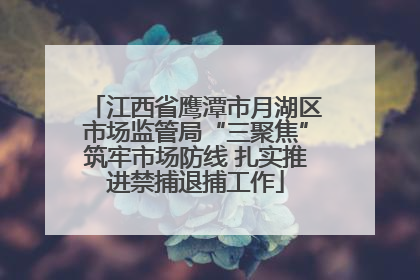 江西省鹰潭市月湖区市场监管局“三聚焦”筑牢市场防线 扎实推进禁捕退捕工作