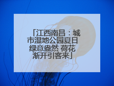 江西南昌：城市湿地公园夏日绿意盎然 荷花渐开引客来