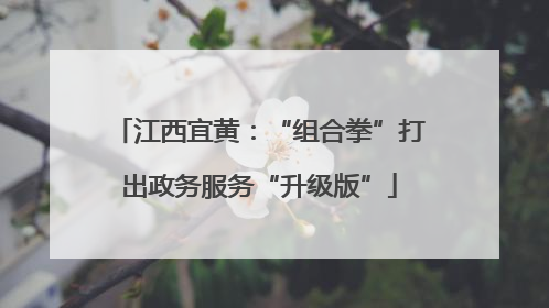 江西宜黄：“组合拳”打出政务服务“升级版”