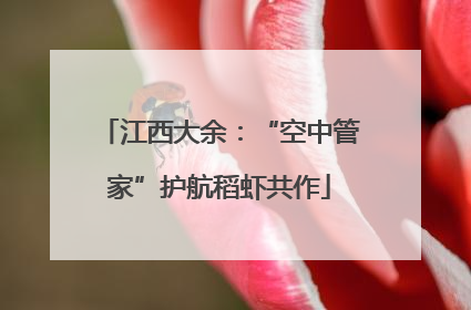 江西大余：“空中管家”护航稻虾共作