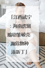 江西武宁：海南虎斑鳽幼雏破壳 濒危物种添新丁