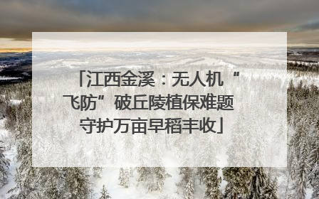 江西金溪：无人机“飞防”破丘陵植保难题 守护万亩早稻丰收