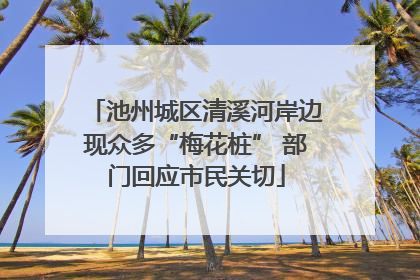 池州城区清溪河岸边现众多“梅花桩” 部门回应市民关切