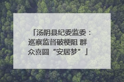 汤阴县纪委监委：巡察监督破梗阻 群众喜圆“安居梦”