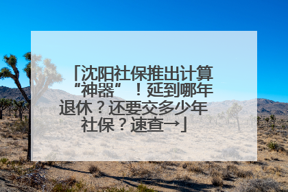 沈阳社保推出计算“神器”！延到哪年退休？还要交多少年社保？速查→