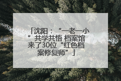 沈阳：“一老一小”共学共悟 档案馆来了30位“红色档案修复师”