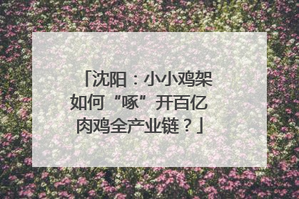 沈阳：小小鸡架如何“啄”开百亿肉鸡全产业链？
