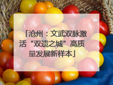 沧州:文武双脉激活“双遗之城”高质量发展新样本