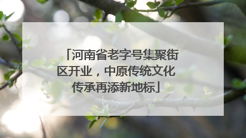 河南省老字号集聚街区开业，中原传统文化传承再添新地标