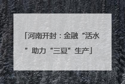 河南开封：金融“活水”助力“三夏”生产
