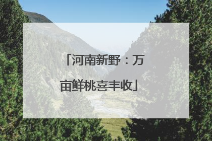 河南新野：万亩鲜桃喜丰收