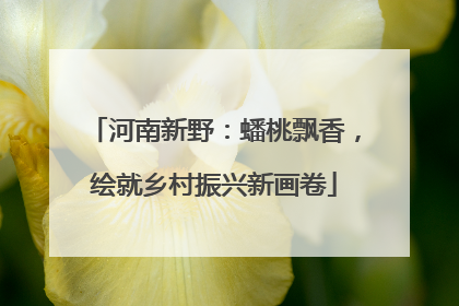 河南新野：蟠桃飘香，绘就乡村振兴新画卷