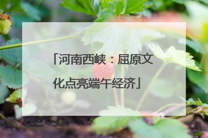 河南西峡：屈原文化点亮端午经济