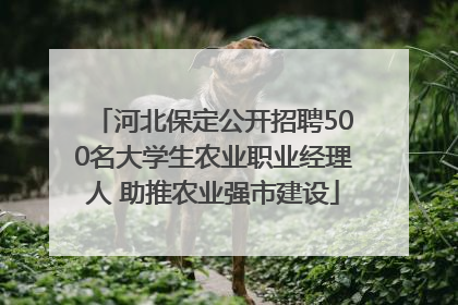 河北保定公开招聘500名大学生农业职业经理人 助推农业强市建设