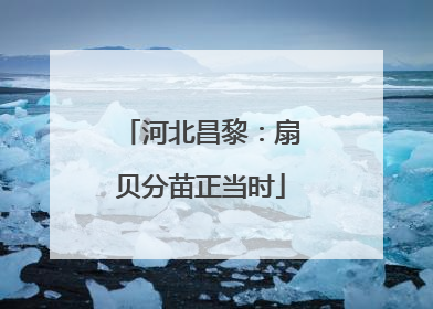 河北昌黎：扇贝分苗正当时