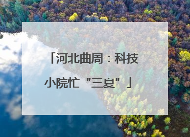 河北曲周：科技小院忙“三夏”