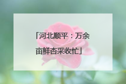 河北顺平：万余亩鲜杏采收忙