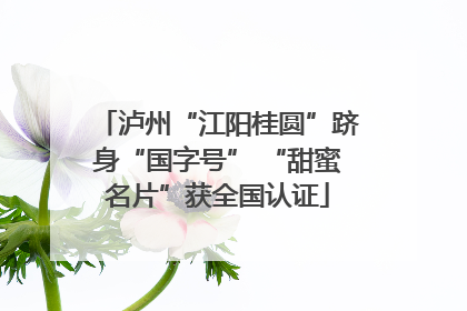 泸州“江阳桂圆”跻身“国字号” “甜蜜名片”获全国认证
