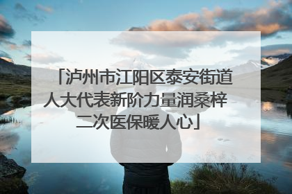 泸州市江阳区泰安街道人大代表新阶力量润桑梓 二次医保暖人心