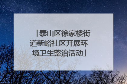 泰山区徐家楼街道新峪社区开展环境卫生整治活动