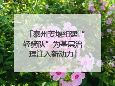 泰州姜堰组建“轻骑队”为基层治理注入新动力