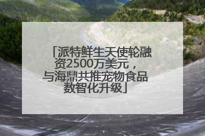 派特鲜生天使轮融资2500万美元，与海鼎共推宠物食品数智化升级