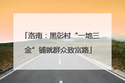 洛南：黑彰村“一地三金”铺就群众致富路